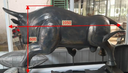 Bronze cast buffalo